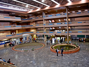 O Instituto