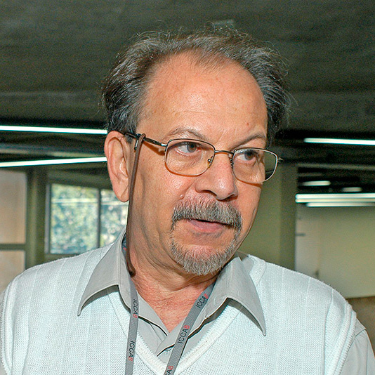 Prof. Dr. Waldyr Alves Rodrigues Jr.